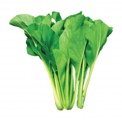 Hạt giống rau cải ngọt cọng xanh